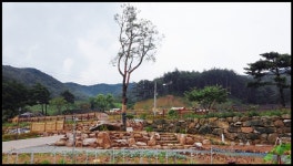한티별빛아래 관광농원 야영장