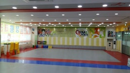 용인대청룡태권도장