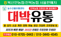 대박유통