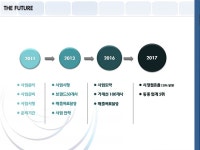 한성피앤지