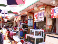 순옥이네