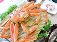 경포 팔도강산