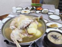 원조털보네토종닭