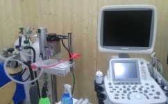 퍼피캣동물병원