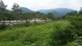 내연산늘푸른캠핑장