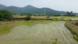 보물섬 치유농원