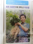 건강나라 산삼농장