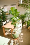 카페디플라워(cafeD.flower)