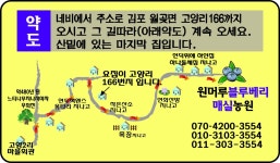 원머루농원