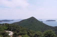 사랑농장