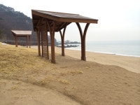 사랑농장
