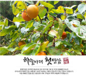 자연이 좋은 사람