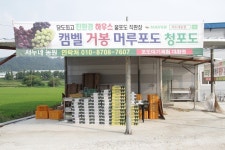 서누네농원