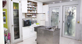 애니케어동물병원