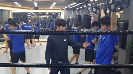 판교스타복싱