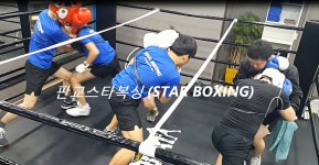 판교스타복싱