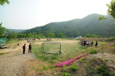 솔거펜션