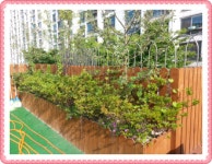 행복한숲유치원