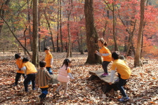 남양주서머힐어린이집