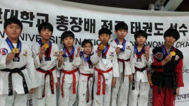 연세효태권도