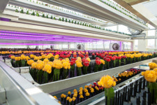 노원삼육 에코팜센터