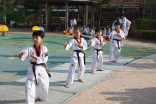 용인대 양천태권도
