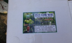 만선다래농원