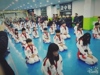 KTI고려태권도