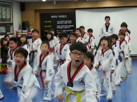 KTI고려태권도