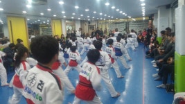 KTI고려태권도