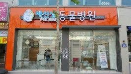 배선생 펫스토리 동물병원