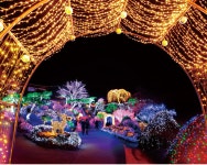 365할인마트 청평점