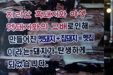 멧집
