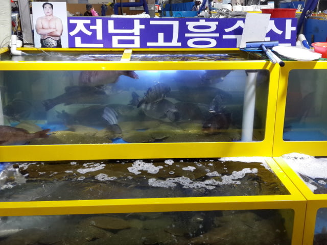 전남고흥수산