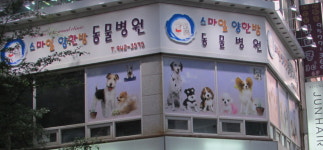 스마일양한방동물병원