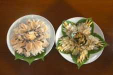 전복삼대 해사랑전복마을