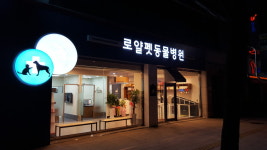 로얄펫동물병원