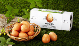 메디오가닉