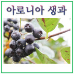고창동막골농장