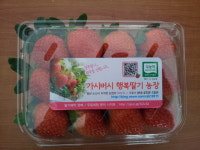 가시버시행복딸기농장