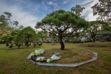 하늘소풍수목장