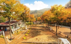 레일바이크펜션