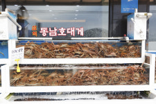 동남호대게
