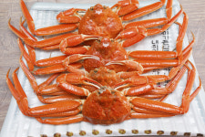 동남호대게