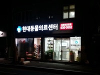 현대동물병원