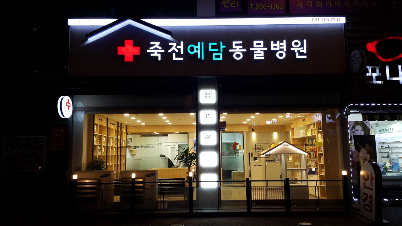 죽전예담동물병원