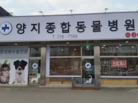 양지동물병원
