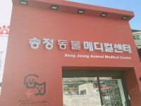 송정동물메디컬센터