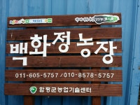 백화정농장