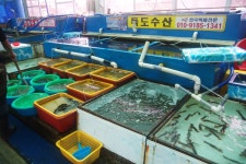 독도수산